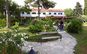 Bed & Breakfast Kleine Hexe